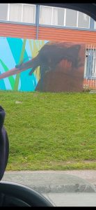 IMG-20220326-WA0013
