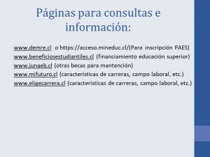 Diapositiva13